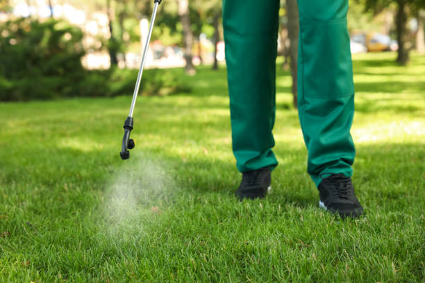 Best Wasp Removal Services  in Dania Beach, FL