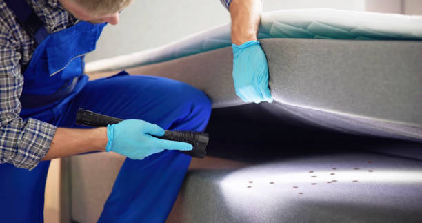 Best Cockroach Control Services  in Dania Beach, FL