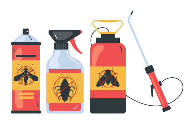 Best Pest Removal Services  in Dania Beach, FL