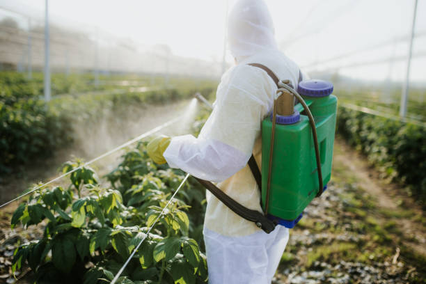 Best Best Pest Control Companies  in Dania Beach, FL